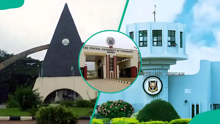Here are Nigeria’s 12 cheapest federal universities for a degree without going broke – Legit